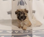Small #9 Breeder Profile image