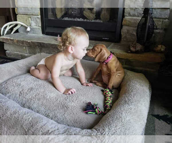 Medium Photo #5  Breeder Profile in HARLAN, IA, USA