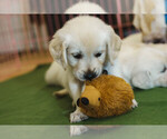 Small #32 Breeder Profile image