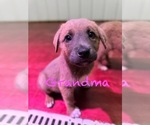 Small #7 Breeder Profile image