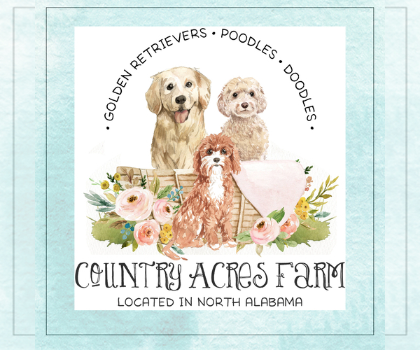 Medium Photo #1  Breeder Profile in TOWN CREEK, AL, USA