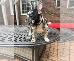 Small #1 Breeder Profile image