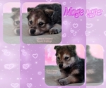 Small #3 Breeder Profile image