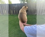 Small #15 Breeder Profile image