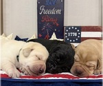 Small #7 Breeder Profile image