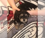 Small #41 Breeder Profile image