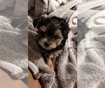 Small #2 Breeder Profile image