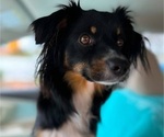 Small #3 Breeder Profile image