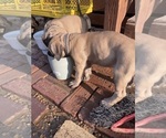 Small #19 Breeder Profile image
