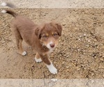 Small #14 Breeder Profile image