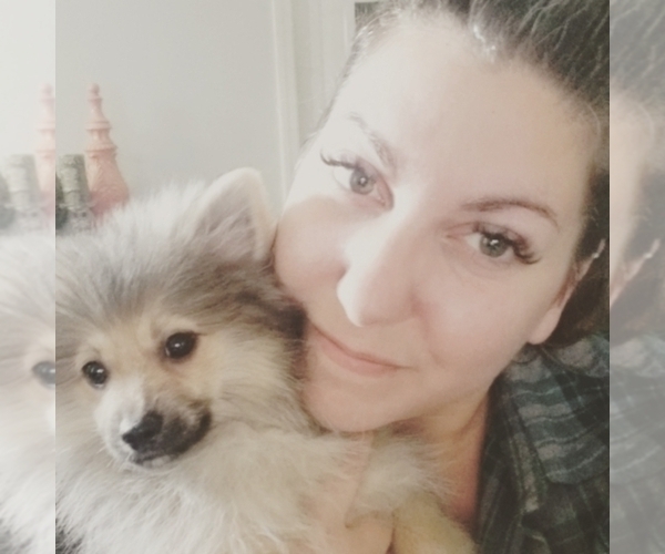 Medium Photo #1  Breeder Profile in BLOOMINGDALE, NJ, USA