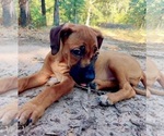 Small #12 Breeder Profile image