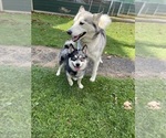 Small #43 Breeder Profile image