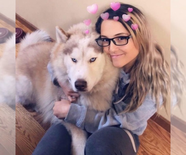 Medium Photo #1  Breeder Profile in YALE, MI, USA