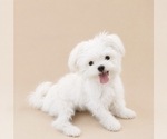 Small #3 Breeder Profile image