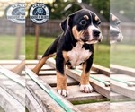 Small #3 Breeder Profile image