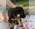 Small #1 Breeder Profile image