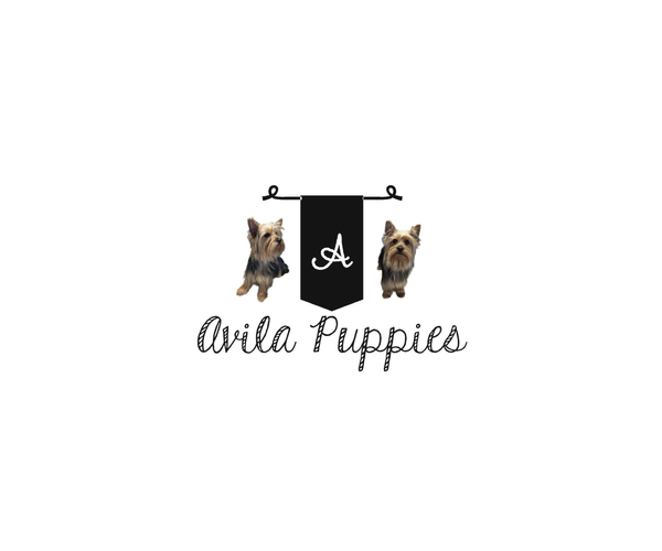 Medium Photo #1  Breeder Profile in BARNSTABLE, MA, USA