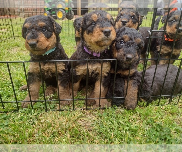 Medium Photo #1  Breeder Profile in LOUISBURG, NC, USA