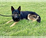 Small #6 Breeder Profile image