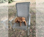 Small #16 Breeder Profile image