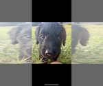 Small #3 Breeder Profile image