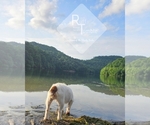 Small #5 Breeder Profile image