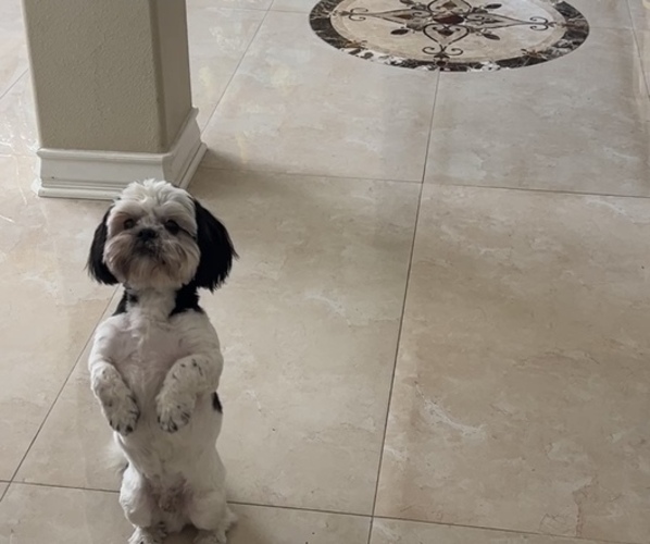 Medium Photo #7  Breeder Profile in CORONA, CA, USA