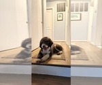 Small #12 Breeder Profile image