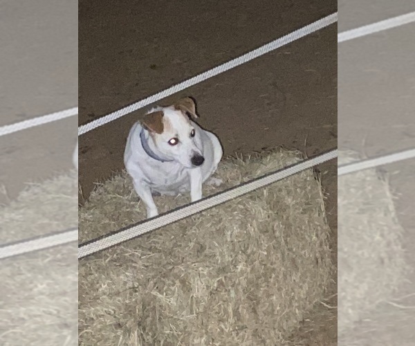 Medium Photo #15  Breeder Profile in MABLETON, GA, USA