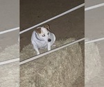 Small #14 Breeder Profile image