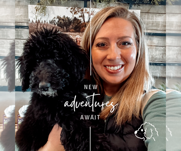 Medium Photo #26  Breeder Profile in SHIOCTON, WI, USA