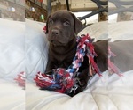 Small #3 Breeder Profile image