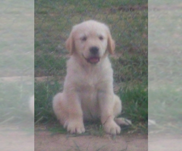 Medium Photo #1  Breeder Profile in HARRISONBURG, VA, USA