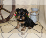 Small #24 Breeder Profile image
