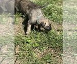 Small #23 Breeder Profile image