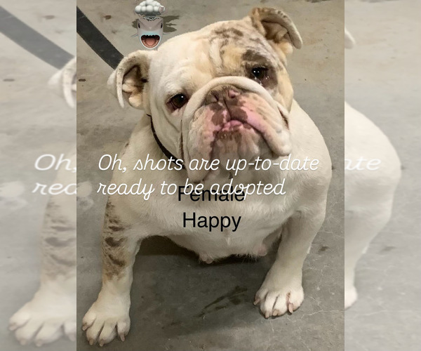 Medium Photo #7  Breeder Profile in VICTORVILLE, CA, USA