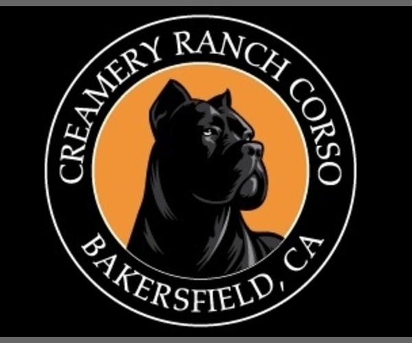 Medium Photo #1  Breeder Profile in BAKERSFIELD, CA, USA