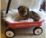Small #8 Breeder Profile image