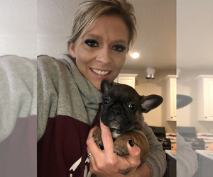 French Bulldog Dog Breeder near HUSON, MT, USA