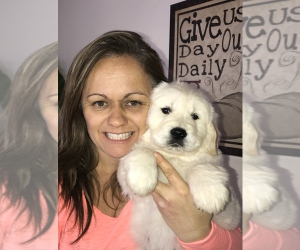 Medium Photo #37  Breeder Profile in HEMET, CA, USA