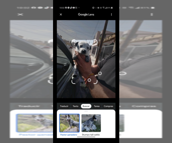 Medium Photo #1  Breeder Profile in CALEXICO, CA, USA