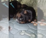 Small #25 Breeder Profile image