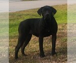 Small #3 Breeder Profile image