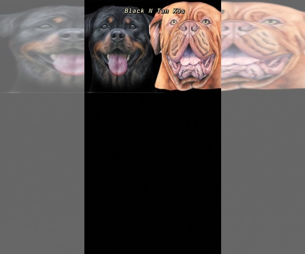 Medium Photo #1  Breeder Profile in CRAWFORDVILLE, FL, USA