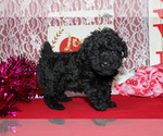 Small #22 Breeder Profile image