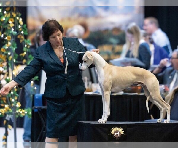 Medium Photo #22  Breeder Profile in COVENTRY, RI, USA