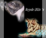 Small #11 Breeder Profile image