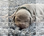 Small #21 Breeder Profile image