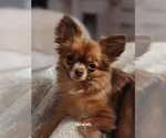 Small #57 Breeder Profile image